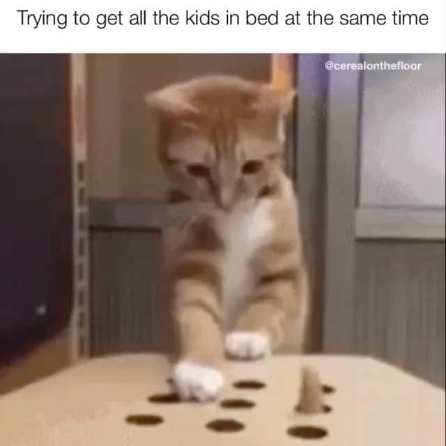 カテリーナ・スコーソンのインスタグラム：「Bedtime whack-a-mole.🙄☺️💗」