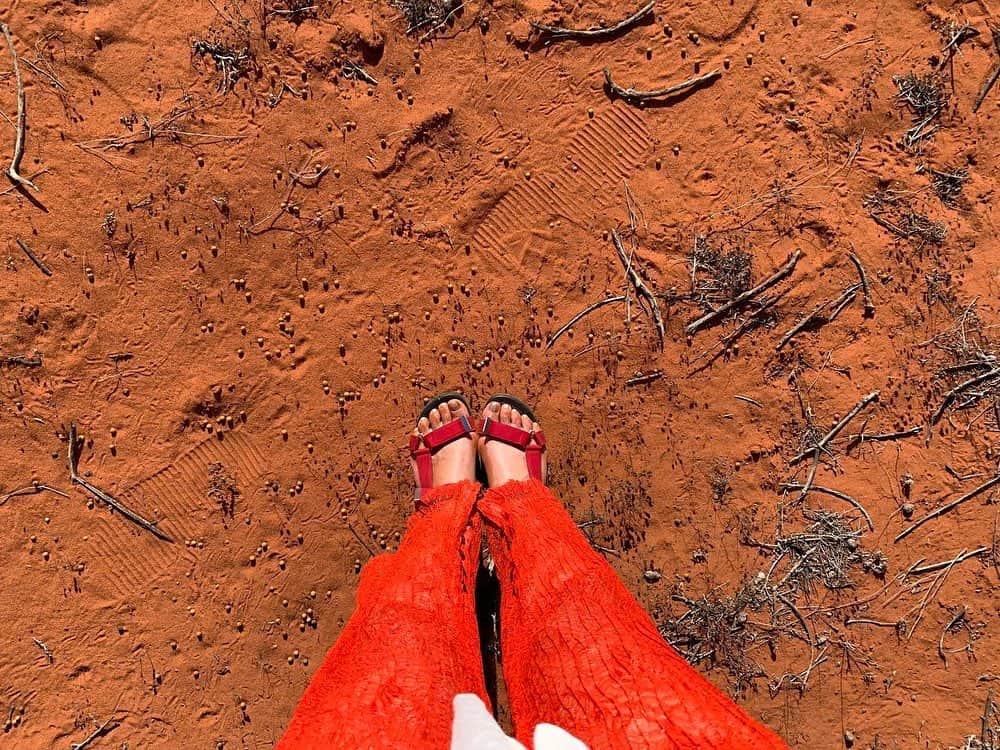 朝日放送「朝だ！生です旅サラダ」さんのインスタグラム写真 - (朝日放送「朝だ！生です旅サラダ」Instagram)「@ennayamashiro  ﻿ ﻿ ﻿オーストラリア先住民、#アボリジニ のケイプスさんに案内してもらうネイチャーツアーで訪れたのはフランソワ・ペロン国立公園🚐 面積は屋久島とほぼ同じ。オーストラリアでもっとも重要な荒野地域のひとつで、多くの絶滅危惧種が生息しているエリアです📝💭 どこまでも続く道や、赤い土がとても不思議。 オーストラリアの #大地のパワー を感じました🧘🏻✳︎ _ #オーストラリア先住民 #フランソワペロン国立公園 #FrancoisPeronNationalPark #ネイチャーツアー #ウラグラナイディアエコアドベンチャー #WulaGuraNyindaEcoAdventures #4WD #荒野を走る #赤い土 #大地のエネルギー #SharkBay #世界遺産 #西オーストラリア #Australia #オーストラリア #世界でひとつのオーストラリアマップ _ #ABCテレビ #朝日放送テレビ #朝だ生です旅サラダ #旅サラダ #旅サラダガールズ #山代エンナ #イラストレーター #海外 #旅 #travel #trip」5月13日 12時16分 - tabisalad