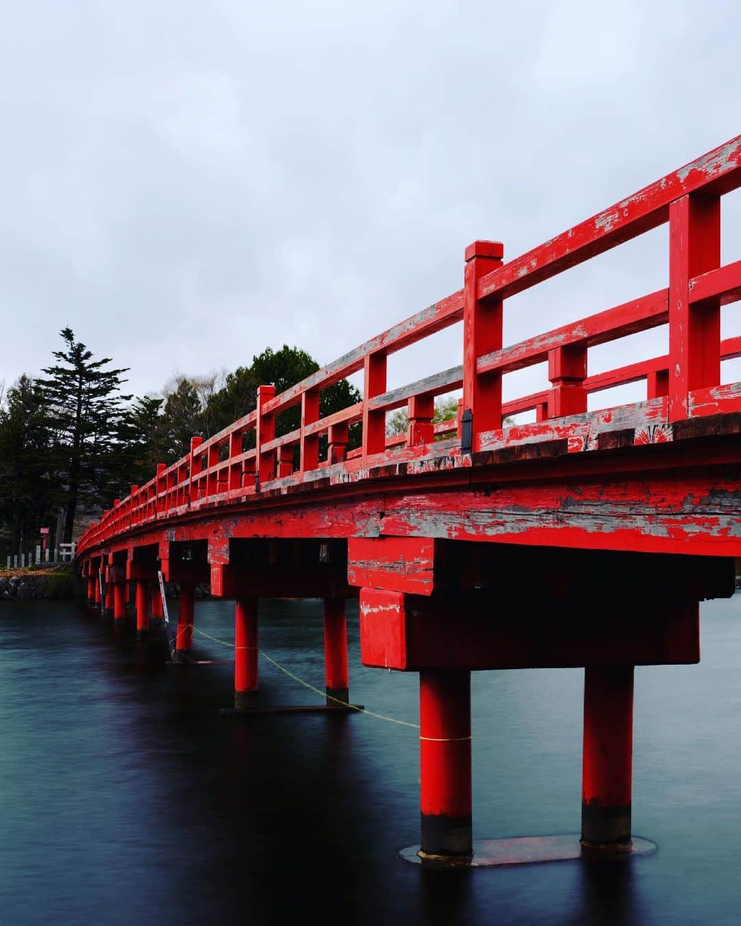 SHOCK EYEさんのインスタグラム写真 - (SHOCK EYEInstagram)「いつかの赤城神社⛩ 神の住まう山、、標高約1800mの赤城山、 山頂の大沼湖畔小鳥ケ島に鎮座する神社。 女性の願いが叶う伝説のパワースポットとしても有名な場所。 元々は大沼を挟んで向かい側に見える大洞という場所にあったけれど、ここに移ったそう。 そちらにも行ったけど、 元宮の跡、弁天社などがあり、静かで荘厳な雰囲気、、  ありがたくパワー頂きました🙏✨  #赤城神社 #赤城山 #群馬 #神社 #啄木鳥橋 #shrine #jinja」5月13日 13時01分 - shockeye_official