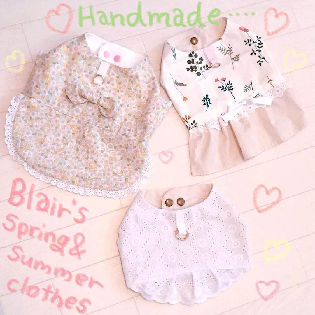 橘珠里さんのインスタグラム写真 - (橘珠里Instagram)「ꕤHandmade clothes for my Blair🐕‍🦺ꕤ  2021 Spring/Summer collection🌺⠉̮⃝︎︎haha  愛娘ブレアの春夏のお洋服⋆︎* 手作りしたものです🎀🪡🧵  👗ワンピースのようなデザインですが、そのまま背中にリードを取り付けて #ハーネス として着せられるようにしています🐕‍🦺🐾  首輪よりも優しい付け心地かな💭と、最近はこちらにしています🐾 ブレアに着せてお散歩に行くのが楽しみ☺️  まだまだお洋服を作るために準備した生地があるので、また完成したら勝手にお披露目すると思います… ◡̈ ✧  #わんこのいる生活 #マルプー #手作りわんこ服 #手作りワンコ服 #手作り犬服 #犬服 #犬服ハンドメイド #ハンドメイド #ハンドメイド犬服 #ペット服 #ミックス犬 #可愛らしい犬の服 #かわいいわんこ服 #可愛いわんこ服 #手芸 #花柄わんこ服 #犬スタグラム #ミシン初心者 #maltipoo #maltipoolove #handmadedogwear #handmadeclothesfordog #handmadeclothing #handmade #handmadedresses #dogstagram」5月13日 21時00分 - jurinu