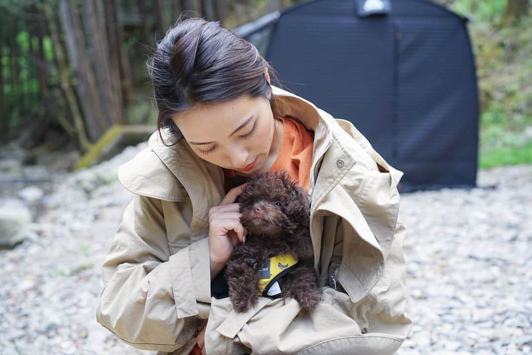 水崎綾女さんのインスタグラム写真 - (水崎綾女Instagram)「モコモコとわたし。  3枚目が可愛すぎるけど、基本的に暴れん坊でモコモコだから顔見えない。 #camera #photo  #photography  #いぬ #🐶 #dog #もこもこ #チワプー #愛犬 #愛犬の日 #今日は愛犬の日らしい」5月13日 18時49分 - misakiayame