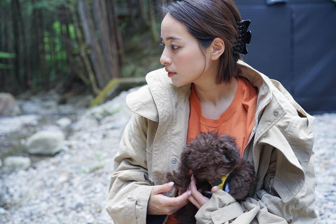 水崎綾女さんのインスタグラム写真 - (水崎綾女Instagram)「モコモコとわたし。  3枚目が可愛すぎるけど、基本的に暴れん坊でモコモコだから顔見えない。 #camera #photo  #photography  #いぬ #🐶 #dog #もこもこ #チワプー #愛犬 #愛犬の日 #今日は愛犬の日らしい」5月13日 18時49分 - misakiayame