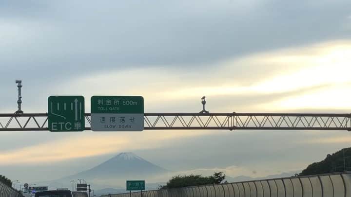 ケリーアンのインスタグラム：「Tomorrow noon! 12:00 JST new YouTube Vlog post will be up!!!🗻✨  Family dinner & drive 🏄🏽‍♀️ Shonan → Hayama 🏖  Subscribe to my channel " CHITCHAT WITH KELLY "  BGM by @fkncoffee」