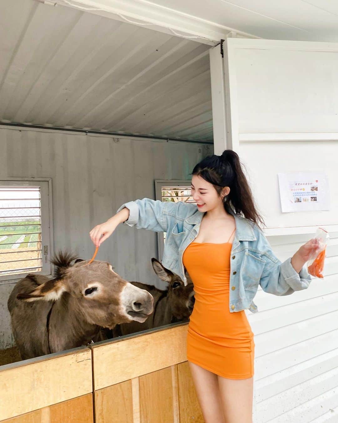 張香香のインスタグラム：「各種餵食🥕🥕🥕  - 現在天天在家餵食自己🐷」