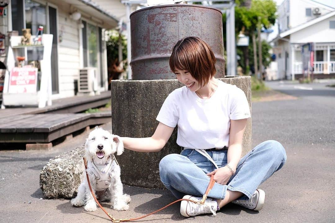 増田有華さんのインスタグラム写真 - (増田有華Instagram)「＊  わんこに会ったよ🐶 大人しくてちゃんとカメラみるの笑 かわいかったーーーーーーーー。 飼い主さんもとても親切にしてくださいました🌼  ・ ・ #ちょっとだけ距離ある笑 #人見知りいぬ #笑ってる写真いっぱい #お気に入りは?」6月11日 19時12分 - masuyuka_official