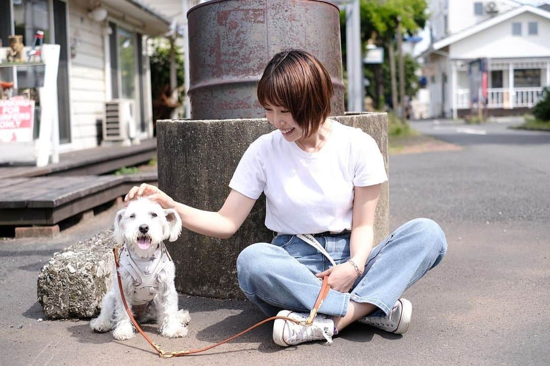 増田有華さんのインスタグラム写真 - (増田有華Instagram)「＊  わんこに会ったよ🐶 大人しくてちゃんとカメラみるの笑 かわいかったーーーーーーーー。 飼い主さんもとても親切にしてくださいました🌼  ・ ・ #ちょっとだけ距離ある笑 #人見知りいぬ #笑ってる写真いっぱい #お気に入りは?」6月11日 19時12分 - masuyuka_official