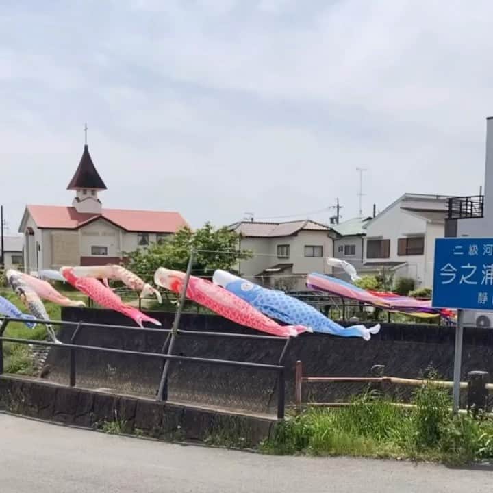 草野美木のインスタグラム：「🎏🎏🎏  I got my drivers license finally  やっと免許取った…！(笑)、ドライブ行きたい」