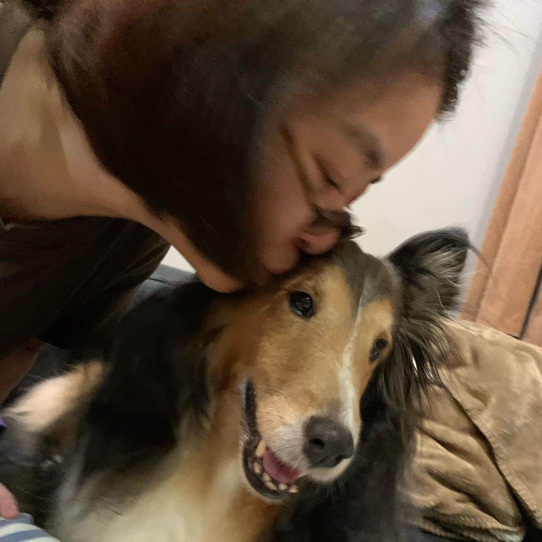 岸本加世子さんのインスタグラム写真 - (岸本加世子Instagram)「姫子が辛い治療を頑張ってくれています。もうこれ以上絶対再発させない！と祈る毎日です。#シェットランドシープドッグ #犬の癌」6月11日 20時36分 - kayokokishimoto