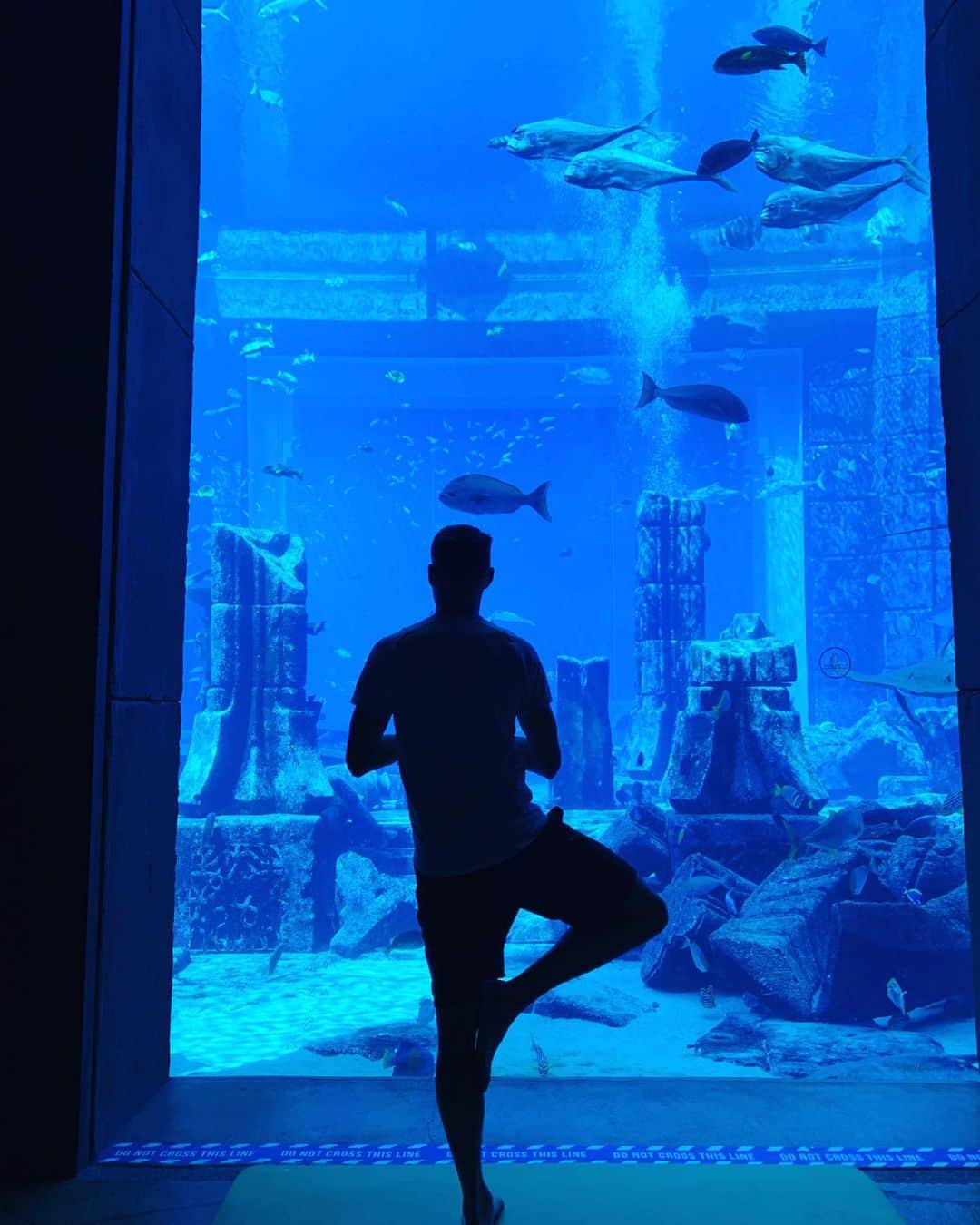 アルフレズ・フィンボガソンのインスタグラム：「Underwater Yoga to start the day 🧘‍♂️🐟✔️」