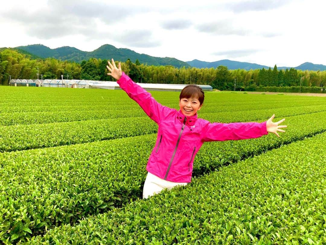 出世凪沙のインスタグラム：「. 明日あさ8時〜の #朝だ生です旅サラダ 中継は 鹿児島県からお伝えします！ . 何をご紹介するかはお楽しみ🤫💕 ヒントは後ろの畑です👀 全国の皆さま、是非ご覧ください！  #旅サラダ#全国中継#鹿児島#霧島市#明日放送#スワイプすると動画もあります#シュールですが良かったらそちらもご覧ください😇」