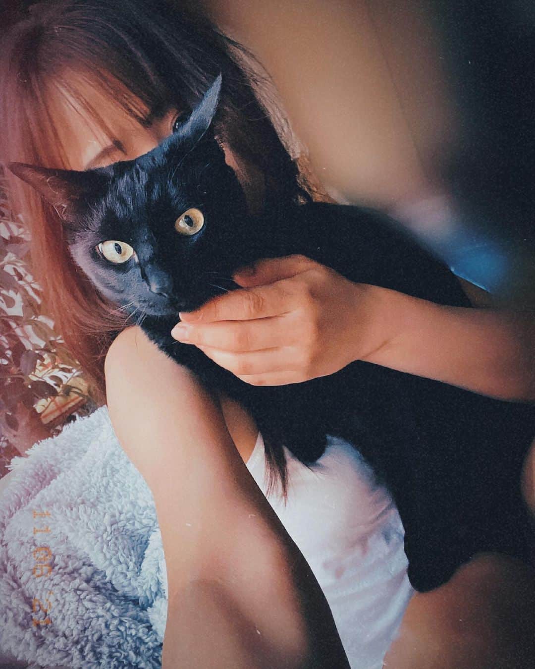 秋山ゆずきのインスタグラム：「. . 猫と写真撮りたくて必死な人  無理やり😂✌️  #ねこすたぐらむ  #ねこのいる生活 #黒猫」