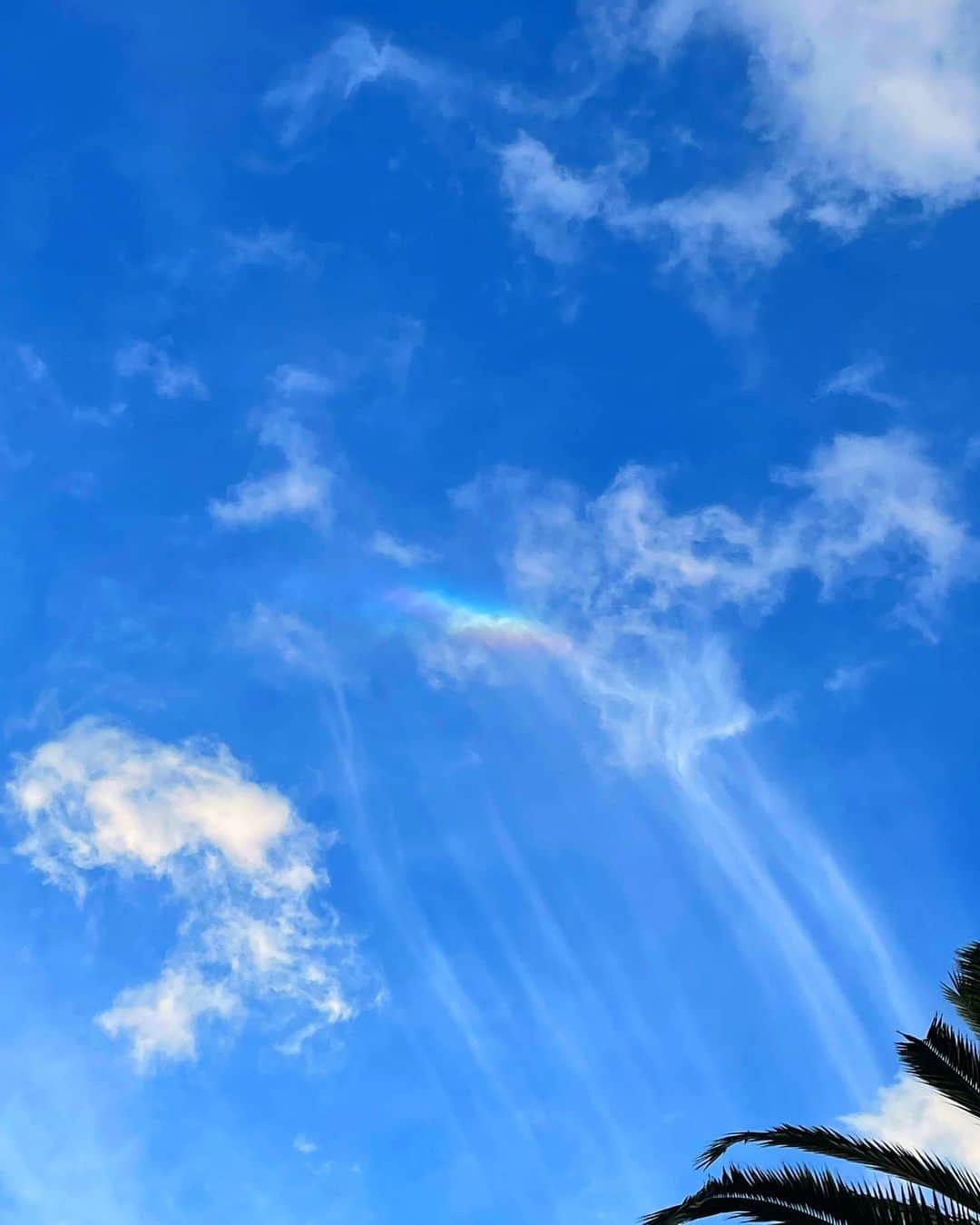 のインスタグラム：「🌈☁️🌈☁️  彩雲見つけたからいいことありそう🤍  #彩雲 #彩雲🌈」