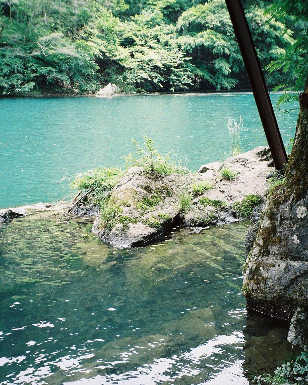 横田ひかるさんのインスタグラム写真 - (横田ひかるInstagram)「nature🚣🏻‍♀️  #hikarufilms」6月11日 22時18分 - _rncn950805