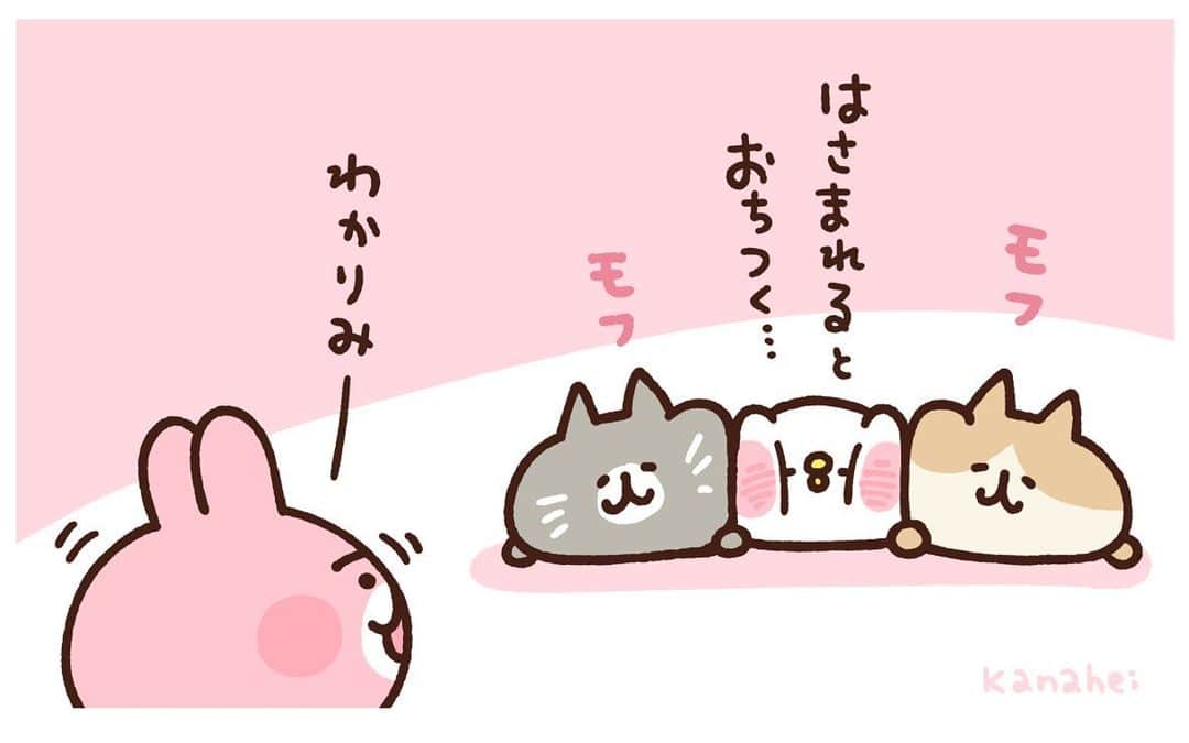 カナヘイのインスタグラム：「おちつくピスケ  #むぎゅっとはさまれストア #kanahei #卡娜赫拉 #卡娜赫拉的小動物 #カナヘイ」