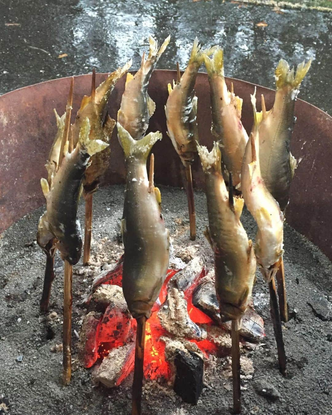 田中理恵さんのインスタグラム写真 - (田中理恵Instagram)「鮎の塩焼きが美味しい季節になってきましたね😌 頭から尻尾そして骨まで全て食べます😍‼︎  あ〜食べたい🥰 写真を見て癒され中😂🤣」6月7日 18時33分 - riiiiiie611