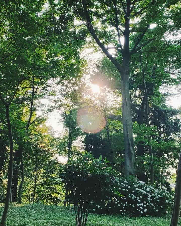宇藤えみのインスタグラム：「🌿🌿🌿🌿🌿 高木さんの曲聴きながら。 朝ドラの音楽で癒される。 @takagimasakatsu  #暮らし#散歩道」