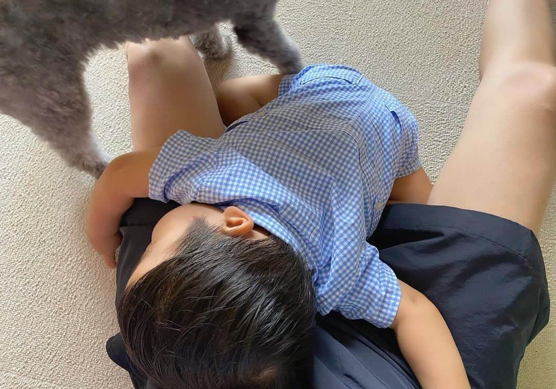 のインスタグラム：「こんな格好で失礼します。笑  この週末に卒乳しました♡元々8ヶ月で日中の授乳は卒業していたので、この2ヶ月は夜寝る時と夜中だけ飲ませていました。(と言っても安心の為に飲んでる感じ。)添い乳で寝かせていたので、ベットに横になった瞬間私の方を向きおっぱいを待ってると言う状態が毎日のスタイル。夜中は必ず1回起きるので、その時も添い乳で寝かせてました。でもそろそろ卒乳のことを真剣に考え始め先輩ママに相談の日々。(特に真加には毎日のようにその話でお世話になりました。笑)そしてこの週末、本当に突然やる気になり、よし！やってみよう！と計画性ゼロで実践。笑 不安は的中、息子は号泣。小一時間は泣いてました。私はひたすら寝たふりをし、うっすら目を開け頑張れ頑張れ！とエールを送りながら息子の姿を見守っていました。小一時間泣きながらベットをゴロゴロし続けた息子、泣き疲れたのかコテンと寝たんです。え、もしかして寝た？と驚いたほど本当に突然でした。長期戦を覚悟していたので意外とあっさりでびっくり。笑 夜中一度目覚めたけど、この時もベットでゴロゴロしながらすぐに寝たんです。主人と無言でハイタッチし、私の勝手な行動に付き合ってくれた息子の成長に喜び合いました♡ 卒乳して3日目を迎えましたが、今のところおっぱいを欲しがることなく、いつもの寝る前のオルゴールをかけると5分以内には寝てくれるようになりました♡(早。笑)あっさり過ぎて私の方が寂しいぐらい。笑 でもリアルに体が楽になった！卒乳の時期は人それぞれ考えがあると思いますが、私と息子にとってはこのタイミングで出来て良かったかなと思います♡卒乳記録。 写真は今朝。最近こんなふうに甘えてくれることが多くなりました♡カプリと2人で私を取り合ってくれるんです♡笑 #生後10ヶ月#男の子ベビー#男の子ママ#赤ちゃんと犬#愛犬カプリ#卒乳」