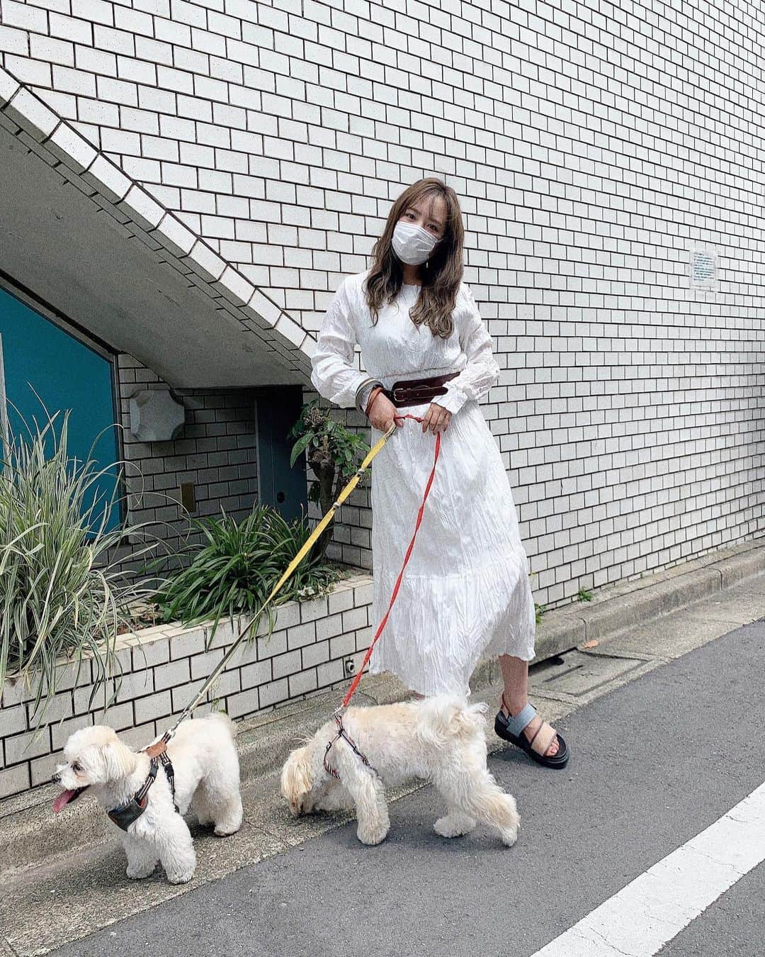 山田菜々さんのインスタグラム写真 - (山田菜々Instagram)「歩くの好きだから普段行かない街とかで お散歩するのがだいすきです☺️♥︎♥︎  諭吉も小町もお散歩だいすきだから ふらふら歩くのたのしいよ〜🐢✨  この日のお出かけは、 さら〜っと1枚ワンピース♡ @holidayandholiday_official」6月7日 22時25分 - tannana.yamada