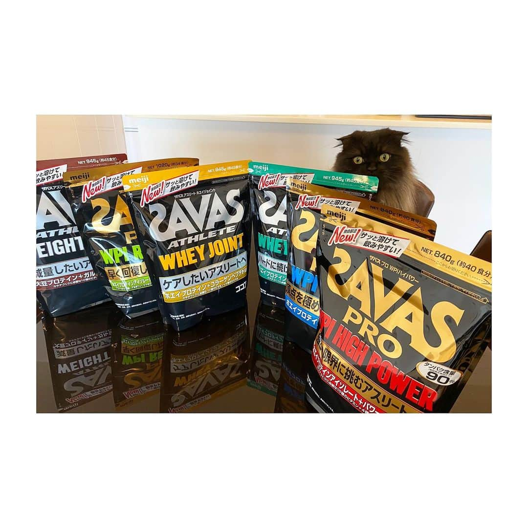 寺内健のインスタグラム：「追い込む準備完了。 @my_savas_jp  #savas #protein #豆助」