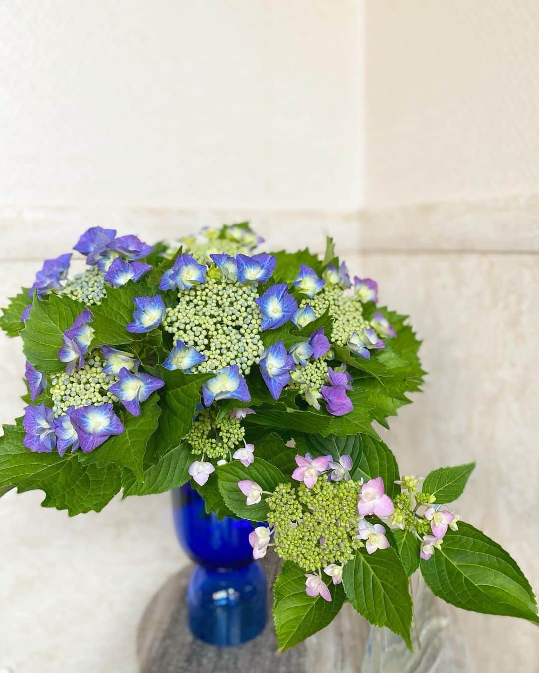 Mai Wakimizuのインスタグラム：「お庭に咲いてる紫陽花♡purple.blue.pink♡毎年この時期の楽しみ＼(^o^)／ #紫陽花#お花のある暮らし」