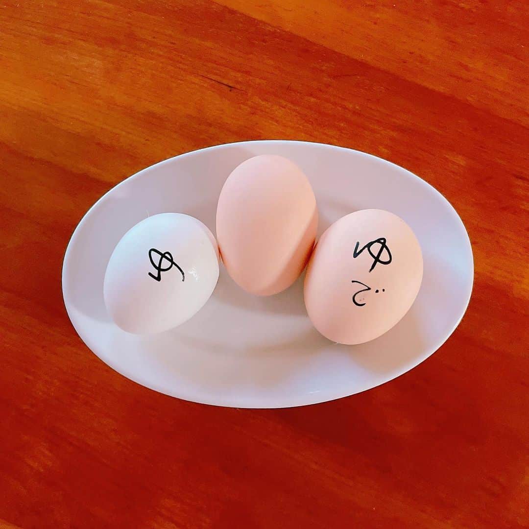 石田ひかりさんのインスタグラム写真 - (石田ひかりInstagram)「ゆで卵と なま卵の見分け方 みなさん どうされてますか わたしはこんな風です🥚 いつも、もう少しなんとかならんもんかと 思っています」6月8日 6時08分 - hikaringo0525