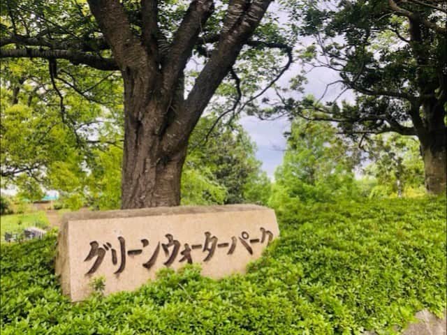 ANA CROWNE PLAZA NARITAのインスタグラム：「🌿﻿ 【グリーンウォーターパーク】﻿ ホテル周辺には、豊かな緑が広がっていますが、﻿その中でも、ホテルからほど近いおすすめスポットをご紹介します。﻿ ﻿ 「グリーンウォーターパーク」は、東西に長く中央には池もある公園で、﻿釣りを楽しんだり、周囲を散策したり、遊具で遊んだりと様々な楽しみ方ができます🎣﻿ この時期は、美しい新緑や蓮、つつじが見られゆっくりとした時間を過ごせそうです🍀 ﻿ 当ホテルからは、車で11分(5.3km)ほどにありますので﻿ テイクアウトの料理と共にご家族お揃いで屋外でのお食事を楽しんでみるのもいいですね✨ ﻿ #ANAクラ周辺観光スポット﻿ #ANAクラウンプラザホテル成田﻿ #anacrowneplazanarita﻿ #グリーンウォーターパーク﻿ #千葉県 #千葉　#chiba﻿ #成田市 #成田 #narita﻿ #千葉県成田市  #成田公園 #公園﻿ #なりたさんぽ﻿ #成田散歩 #散歩﻿ #新緑 #つつじ #蓮  #成田空港 #成田山 #飛行機 #成田線 #2021 #いまそら #イマソラ #ピクニック #テイクアウト #ブランコ #滑り台」