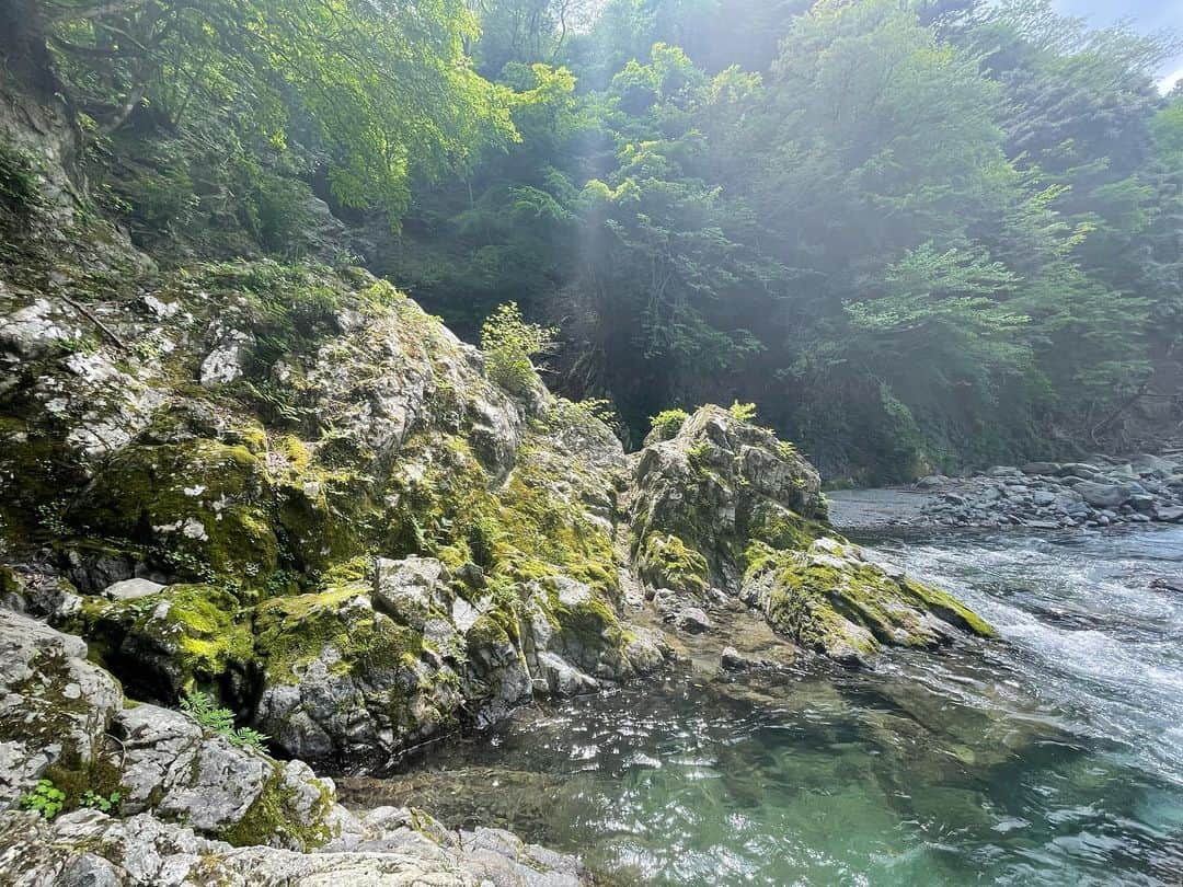 中村香夏さんのインスタグラム写真 - (中村香夏Instagram)「. 自然愛しすぎてます🌏🌱」6月8日 20時24分 - _052k