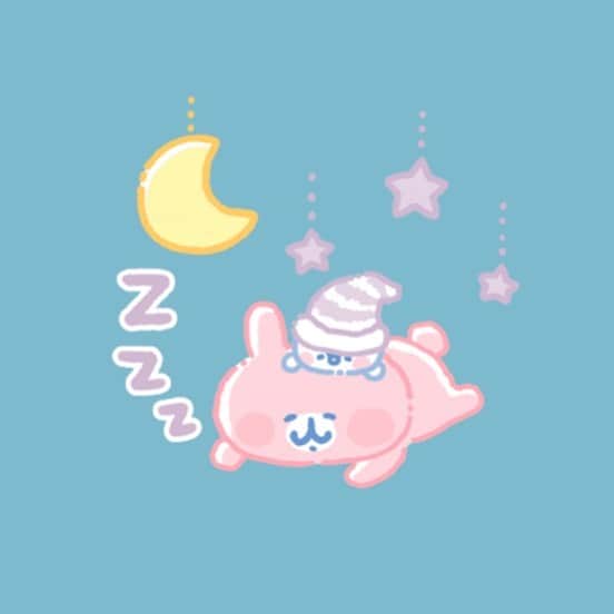 カナヘイのインスタグラム：「Zzz  #kanahei #卡娜赫拉 #卡娜赫拉的小動物  #カナヘイ #おやすみなさい #ピスケとうさぎ」