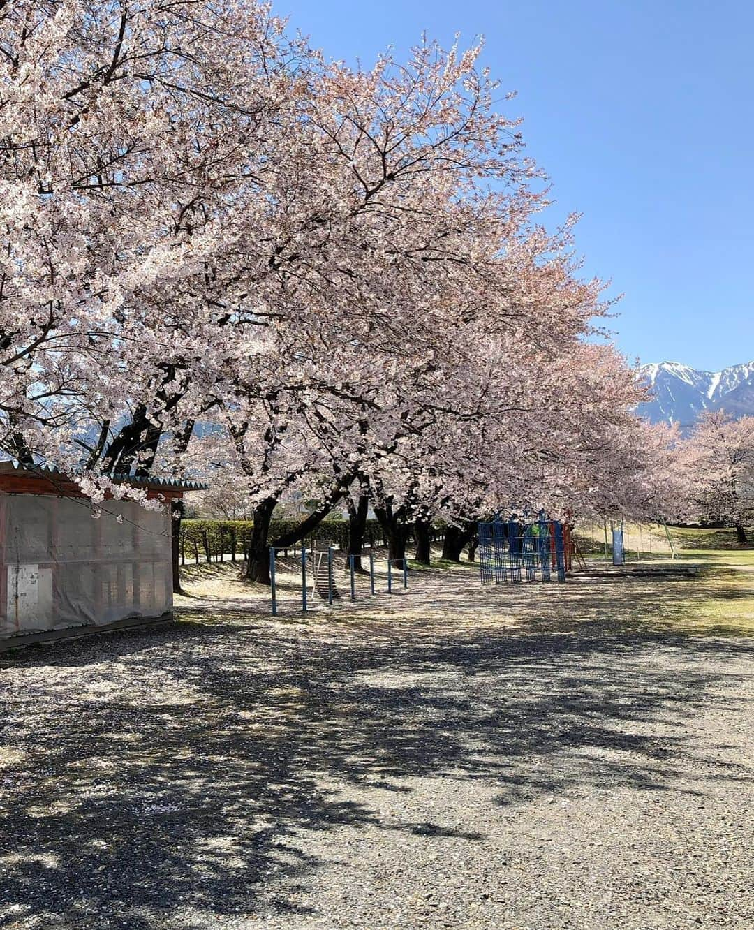 生田佳那さんのインスタグラム写真 - (生田佳那Instagram)「4月に行けた安曇野♡ 東京は散ってたけど桜がみれて🌸  生まれて2度目の 家族に会えて綺麗な空気で… 変わらず最高の場所だった！  今回は#浅間温泉 に泊まったよ〜♨️  #安曇野 #松本城 #長野県 #安曇野観光 #松本観光 #赤ちゃん連れ旅行 #温泉 #松本温泉 #子連れ旅行」6月8日 20時48分 - ikutakana