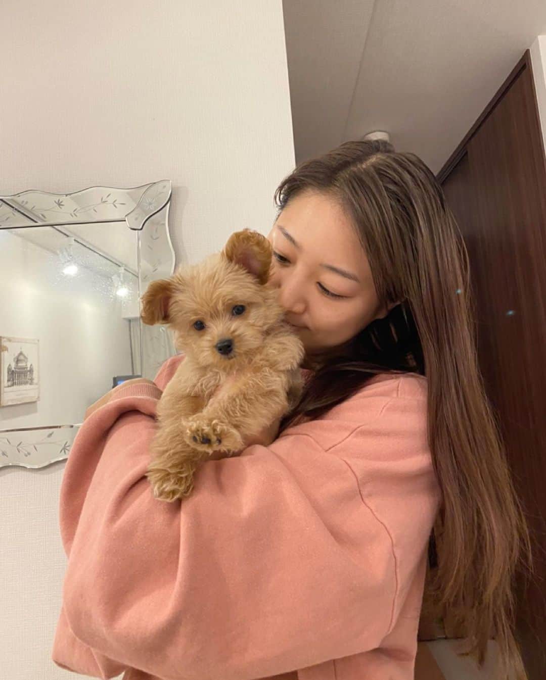 佐々木もよこのインスタグラム
