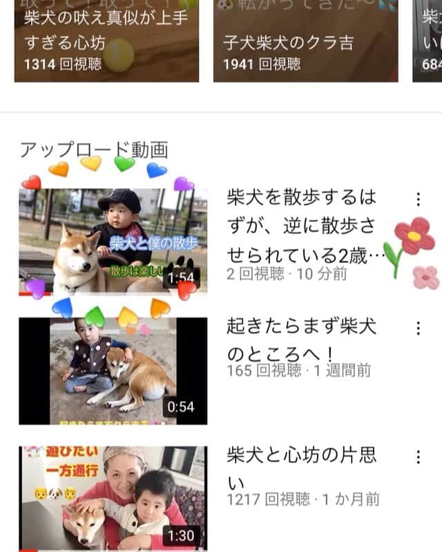 高橋みゆきのインスタグラム：「クラ吉と心坊散歩🐶👦どうぞご覧下さい🤗 https://youtube.com/channel/UCGqUhEkc94FG3oW8CQZBh1A # クラ吉 #心坊 #散歩 #癒し」