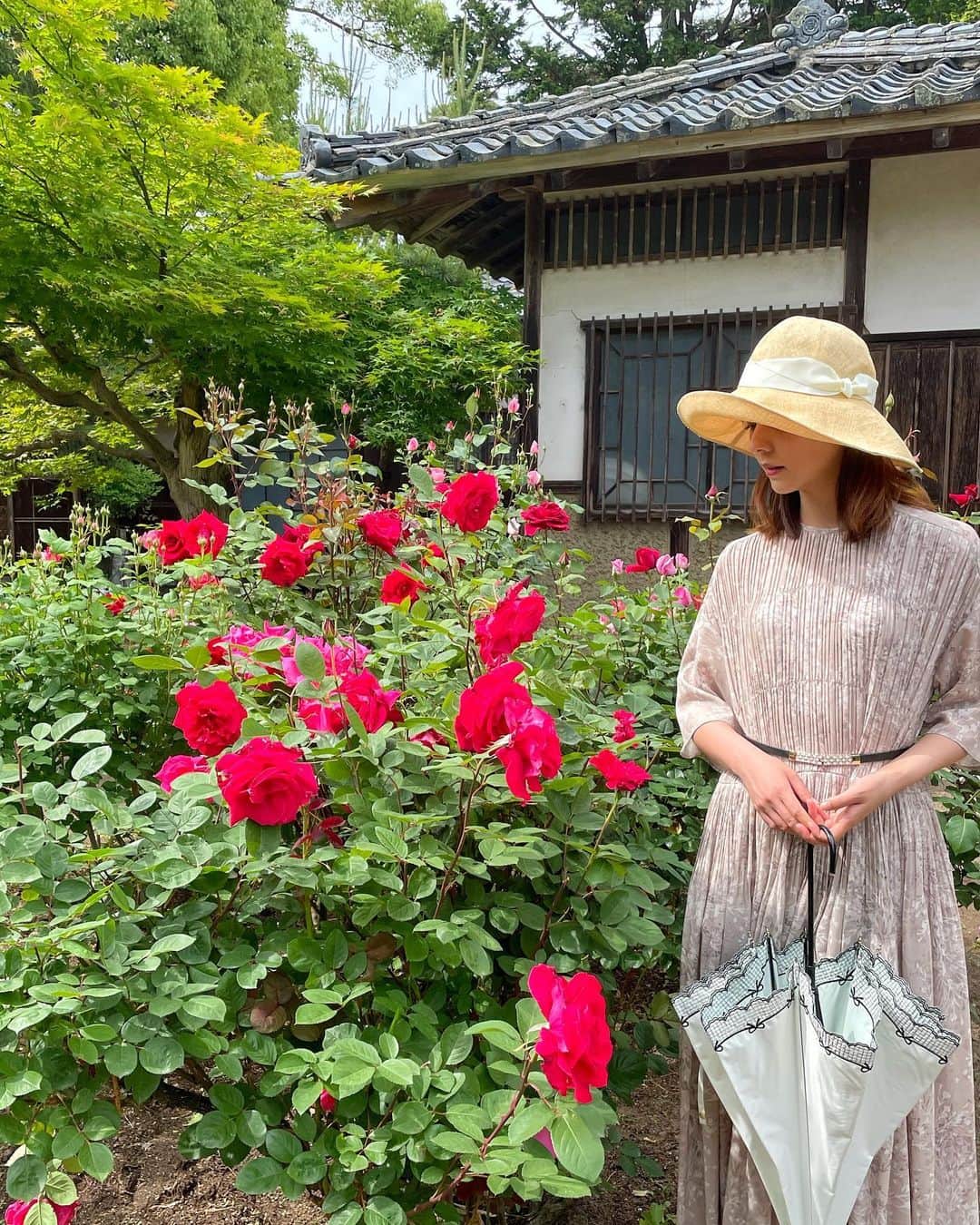 藤井美菜さんのインスタグラム写真 - (藤井美菜Instagram)「. 故郷新潟で初めて行った二宮家バラ園🌹 고향 니가타에서 처음으로 가봤던 장미원🌹 There are beautiful Rose gardens in Niigata prefecture, my hometown🌹  hat: @clane_official  dress: @clane_official  #新潟#二宮家バラ園#日々の写真 #今日のコーデ #美菜私服#일본#니가타#장미원#장미#Japanesestyle #niigataprrfecture#beautiful #photooftheday #ootd #flowerlovers#rosegarden#玫瑰」6月8日 14時14分 - fujii_mina_0715