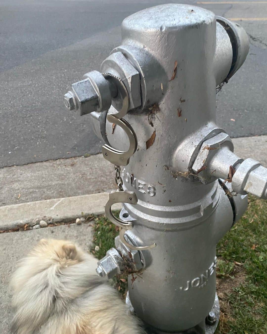 ニッキー・ベンツさんのインスタグラム写真 - (ニッキー・ベンツInstagram)「Was walking my dogs today, and someone left their handcuffs on a fire hydrant 🥴」6月8日 14時34分 - nikkibenz