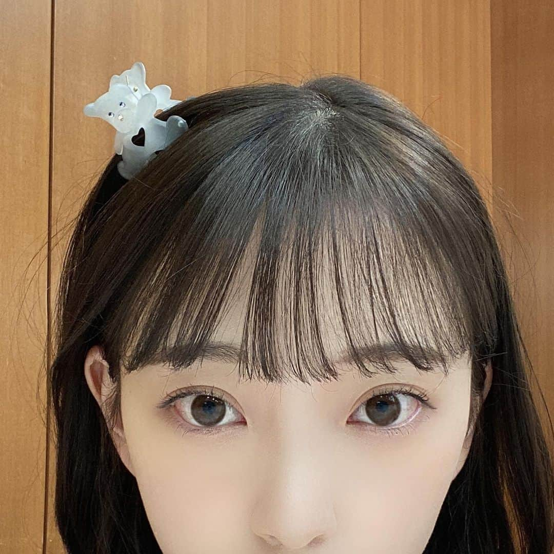 堀未央奈さんのインスタグラム写真 - (堀未央奈Instagram)「🧸🤍  今日は収録でした〜🪡 大場さんがくまちゃん ヘアクリップくれた🫖🪞  ヘアクリップが最近は 髪をまとめるのに最適ですき．」6月8日 18時35分 - horimiona_official