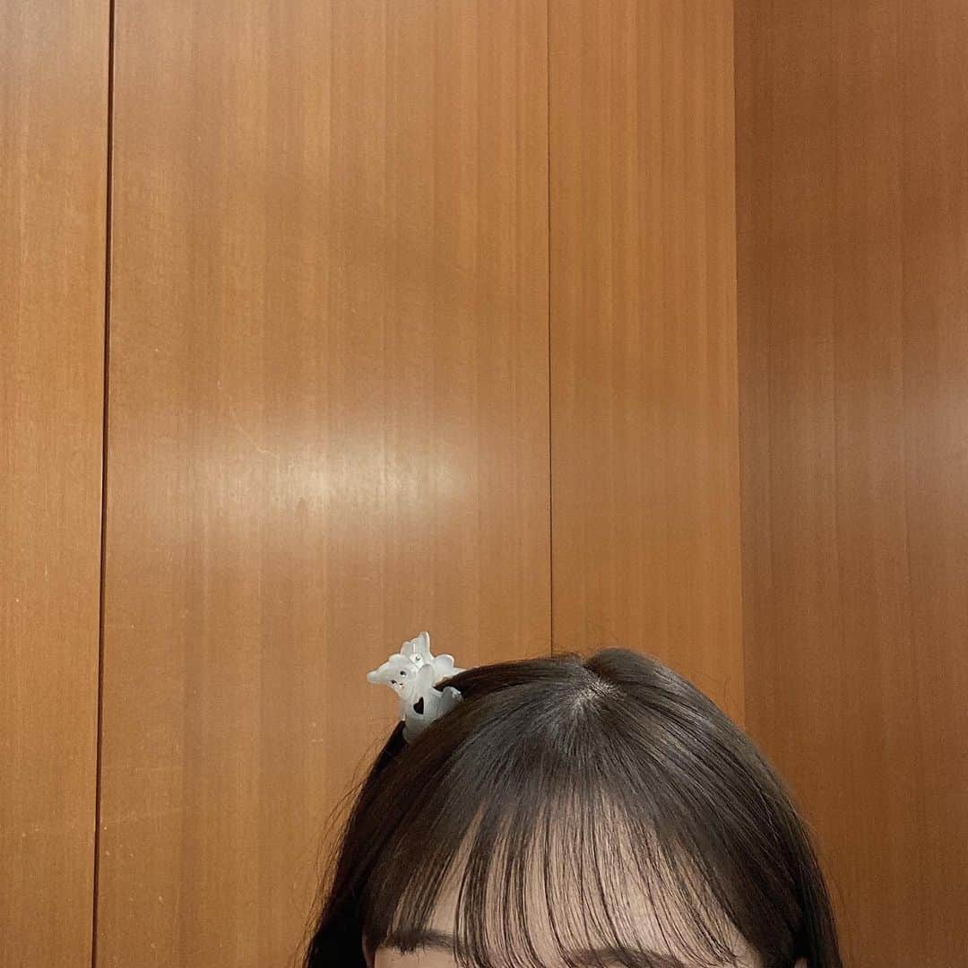 堀未央奈さんのインスタグラム写真 - (堀未央奈Instagram)「🧸🤍  今日は収録でした〜🪡 大場さんがくまちゃん ヘアクリップくれた🫖🪞  ヘアクリップが最近は 髪をまとめるのに最適ですき．」6月8日 18時35分 - horimiona_official