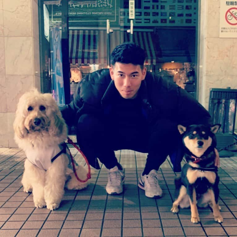 熊谷駿のインスタグラム：「犬に囲まれた生活送ってる？ #犬と会話したい ＃いや出来る人いるよ #どこに？ #羽根木に #なんて言ってんの？ #大好きだぞ #いぬさんぽ  ＃目的を見失うな ＃レオンも満更ではなさそう #なにが？ #ゴンゾウはあと5秒ステイで #くましゅんチャンネル」