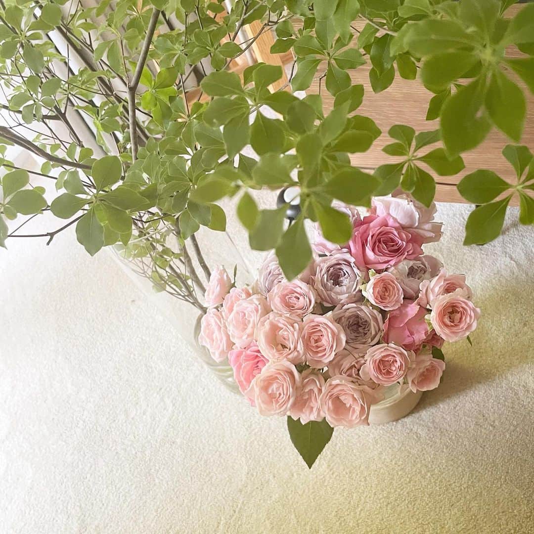 中林美和さんのインスタグラム写真 - (中林美和Instagram)「ピンクのお花好きなんです🌸」6月9日 14時51分 - miwanakabayashi