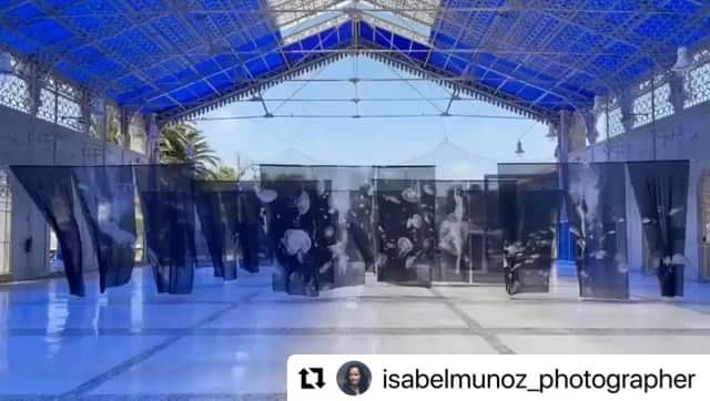 二木あいのインスタグラム：「Repost @isabelmunoz_photographer ・・・ Inaguración "Somos Agua" en @csmediterraneo. En Alicante hasta el 30 de julio.   Todo mi agradecimiento al mar, a @csmediterraneo a Héctor Salvador, Gertrud Gómez, @oceanografic_vl Eduardo Nogues, Pedro Muelas, Dani García, Marga Ardao, Carlos Taurá, @aifutaki @esthereotipo @espericueta.veronica   #diadelosoceanos #photography #exhibition #art #underwaterphotography  ・・・ Special Thanks  @blancpain1735 #blancpainoceancommitment @bewet_water_suits @breier.sas @aqua_lung_japan @mymizu.co #環境省 @morisatokawaumi_」