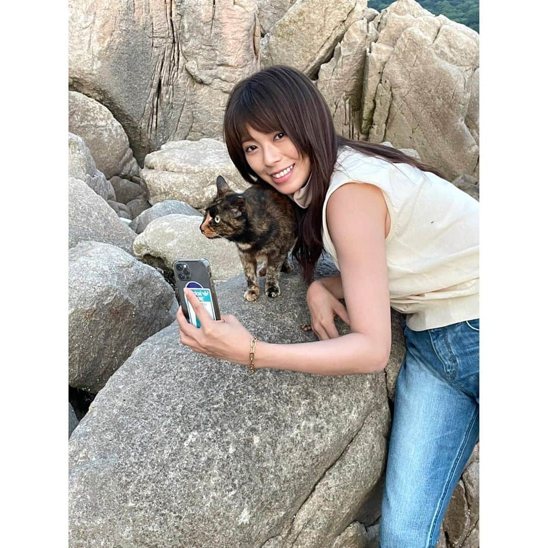 わちみなみのインスタグラム：「一緒にすごい綺麗な夕焼けみたとよね〜🐈 いい😽﻿ ﻿  #ねこちゃん　#夕焼け﻿ ﻿#自然　#自然と暮らす #岩大好き　#岩 ﻿ 8月31日﻿ 2nd写真集発売決定﻿ Amazonで予約受付中です☺︎﻿ ﻿」
