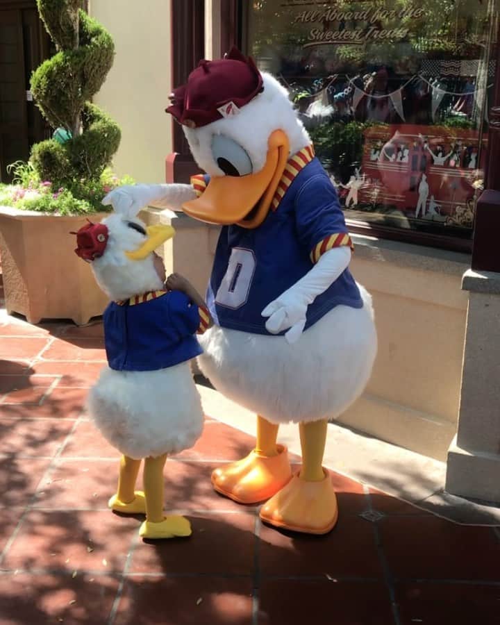 tiahy__のインスタグラム：「Happy Birthday Donald!!. . Thank you for always playing a lot! . . You can’t imagine how much he wants to see you . . . .  We want to see you again oneday!!. . . . #donald_taia#donaldduck#taiacostume#californiaadventure #castel_friend_land#yesdisneybaby with @kanalovesmickey ♡」