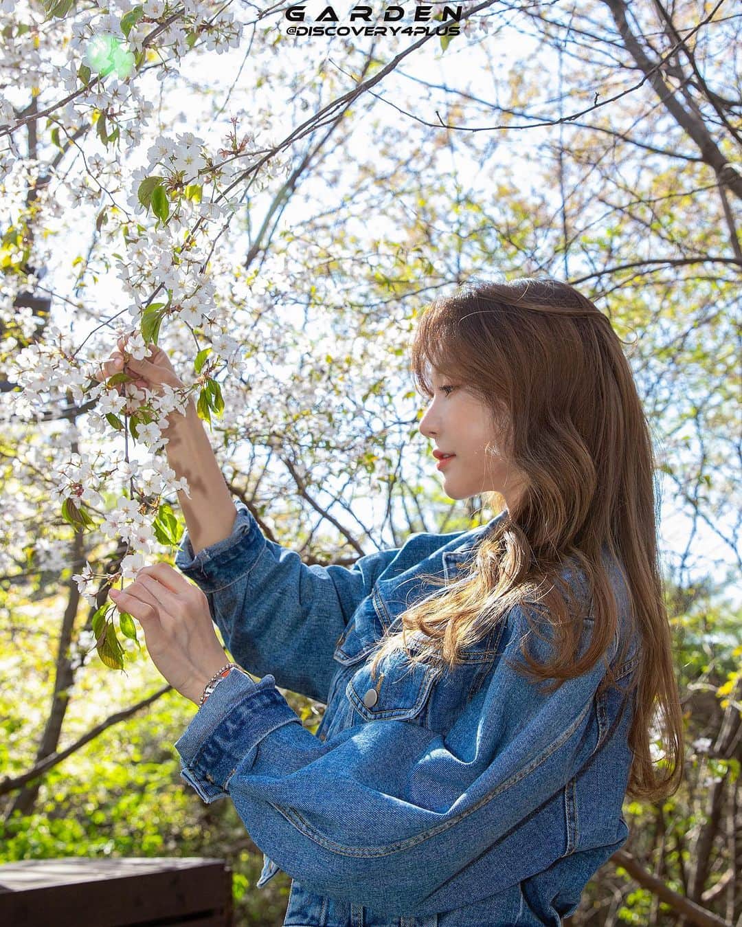 のインスタグラム：「🌸🌿」