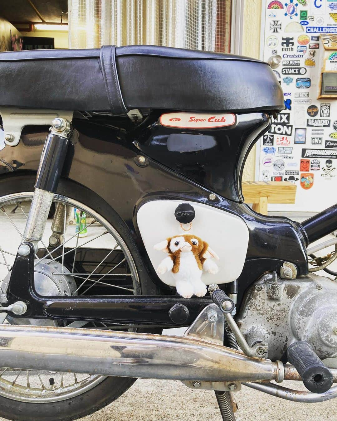 長瀬智也さんのインスタグラム写真 - (長瀬智也Instagram)「#honda #supercub #c100 #c105 #3速入れると #暴れ出す #グレムリン  #ギズモ」6月10日 0時21分 - nagasetomoya_