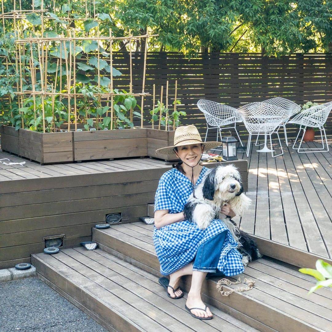 桐島かれんさんのインスタグラム写真 - (桐島かれんInstagram)「枝豆の苗を新たに植えました。  #プランター菜園初心者  #シュナプー#シュヌードル」6月9日 17時29分 - houseoflotuskaren