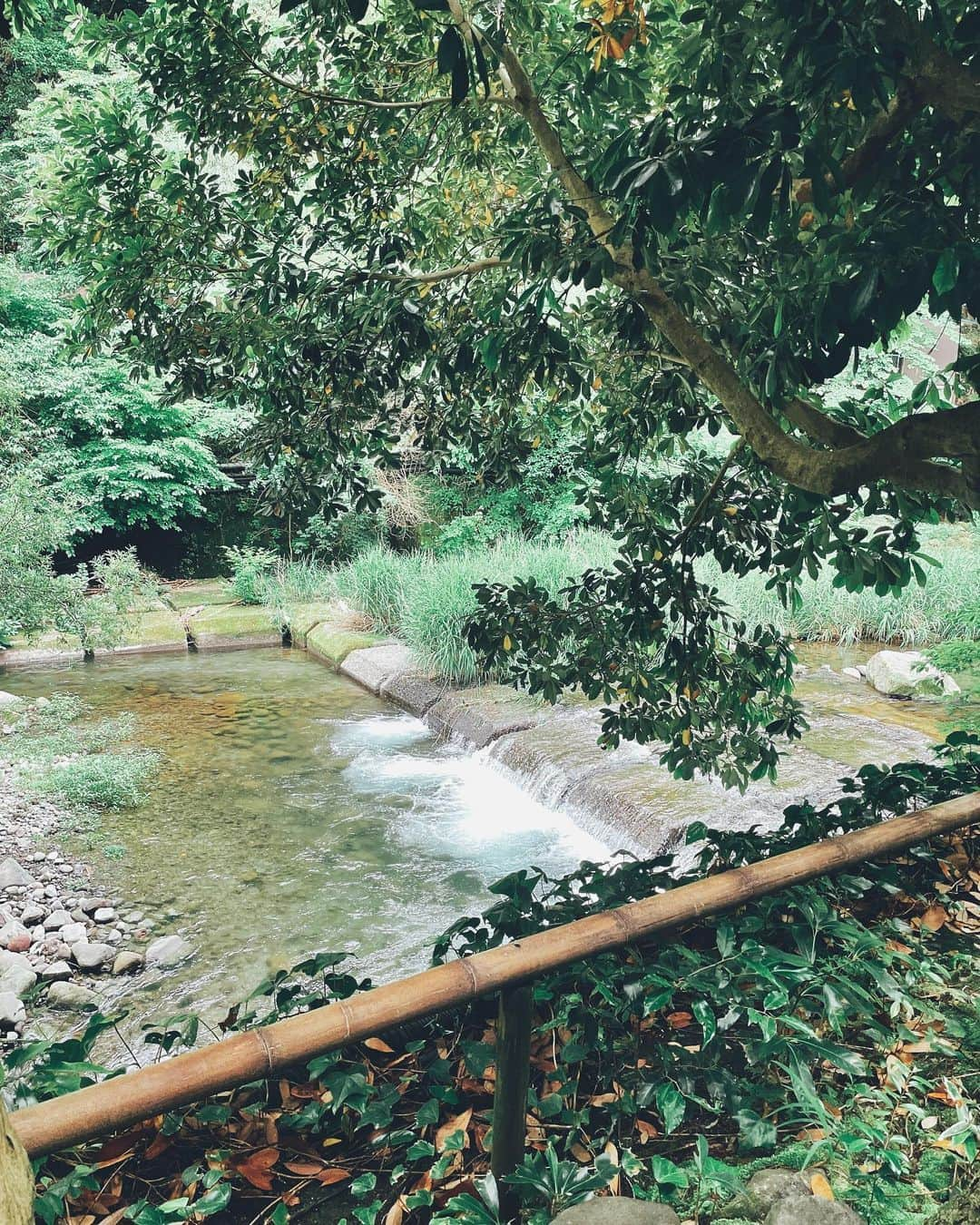 エリーローズさんのインスタグラム写真 - (エリーローズInstagram)「A little day trip to Hakone on the way back  from Izu.  伊豆のあとに箱根をふらっと寄り道。 ゆるりと芦ノ湖の公園をお散歩。 湖と山の風景と富士山の絶景に癒され、ふぁ〜っと肩の力がほどける贅沢な時間でした〜」6月9日 17時54分 - ellirose