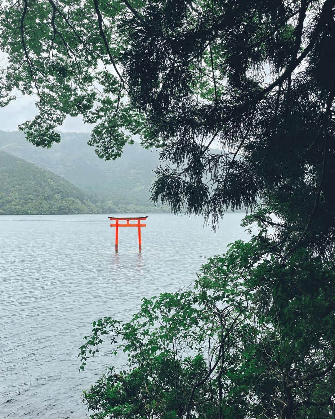 エリーローズさんのインスタグラム写真 - (エリーローズInstagram)「A little day trip to Hakone on the way back  from Izu.  伊豆のあとに箱根をふらっと寄り道。 ゆるりと芦ノ湖の公園をお散歩。 湖と山の風景と富士山の絶景に癒され、ふぁ〜っと肩の力がほどける贅沢な時間でした〜」6月9日 17時54分 - ellirose