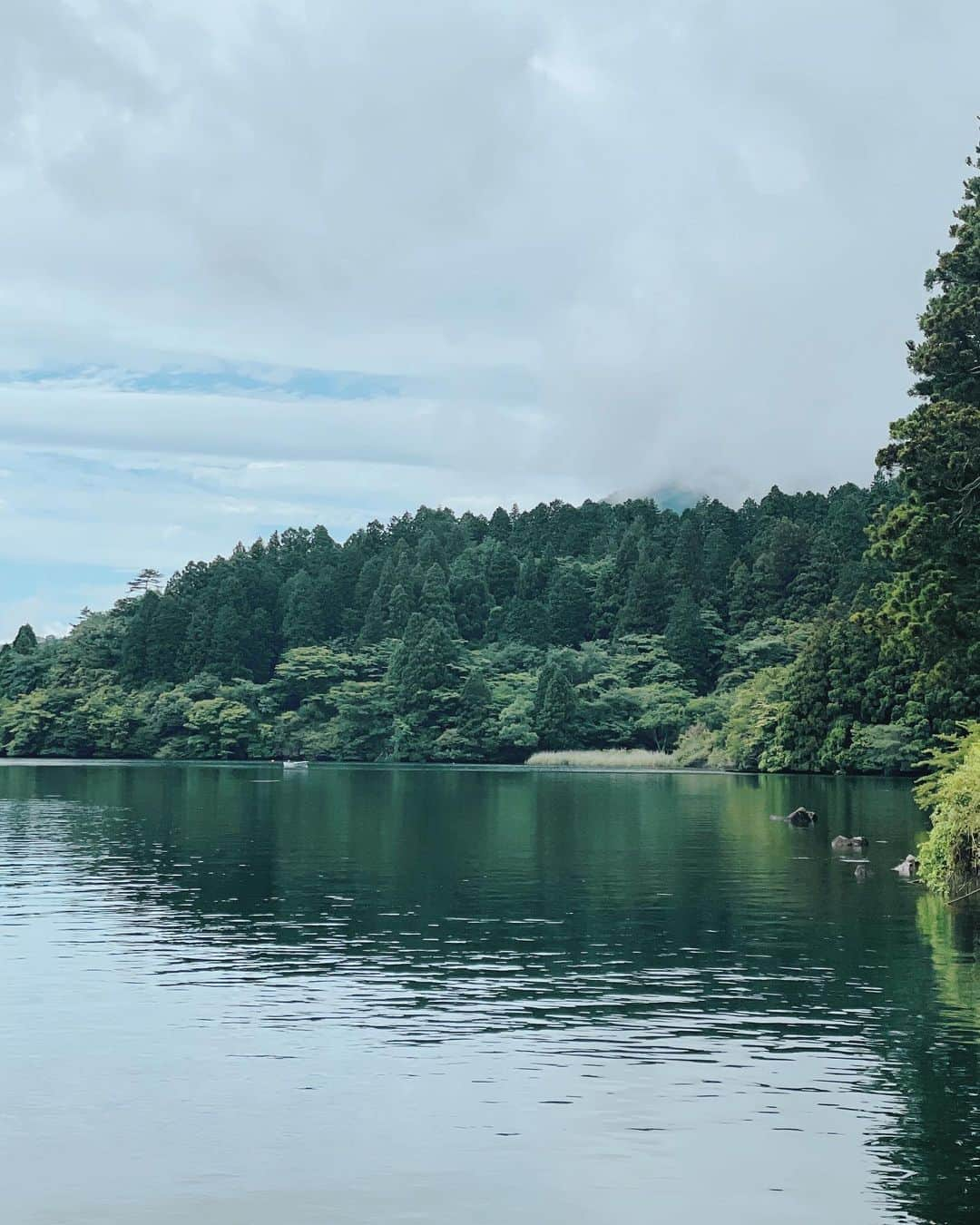 エリーローズさんのインスタグラム写真 - (エリーローズInstagram)「A little day trip to Hakone on the way back  from Izu.  伊豆のあとに箱根をふらっと寄り道。 ゆるりと芦ノ湖の公園をお散歩。 湖と山の風景と富士山の絶景に癒され、ふぁ〜っと肩の力がほどける贅沢な時間でした〜」6月9日 17時54分 - ellirose