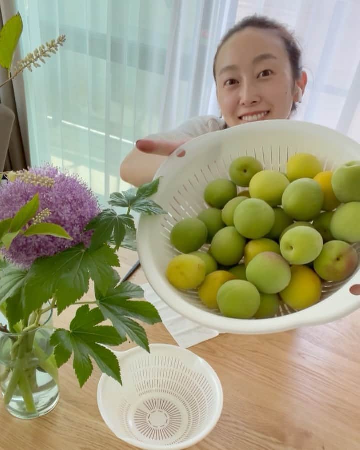 泉見祐希のインスタグラム：「. 梅酒作りに挑戦🌞 今日は #いずみのこえ でお届けします。🎙 手間がかかると思っていたものが 意外と簡単だった！ってこと、 スティホームで沢山知れたな。 この梅酒作りもそのうちの一つ。 とっても簡単にできました♩ あとは、一年間時々混ぜながら待つだけ…🙃 一年後、どうなってるかなぁ〜遠い目になっちゃう。」