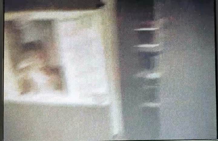 阪本一樹のインスタグラム：「小さい頃の動画を妹が送ってきてくれました。笑 こんな可愛い時もあったんだな😂😂」