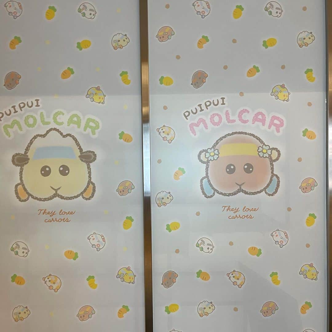 のインスタグラム：「昨日銀座ついでにPUI PUI モルカーショップ見て韓国料理ランチ( '﹃'⑉) チーズ明太ビビンバ美味しかった(*´ч`*)  #ぷいぷいもるかー  #puipuiモルカー  #puipui天竺鼠車車  #韓国料理 #石焼きビビンバ #石焼きチーズビビンバ  #チーズ大好き #銀座ランチ  #銀座」
