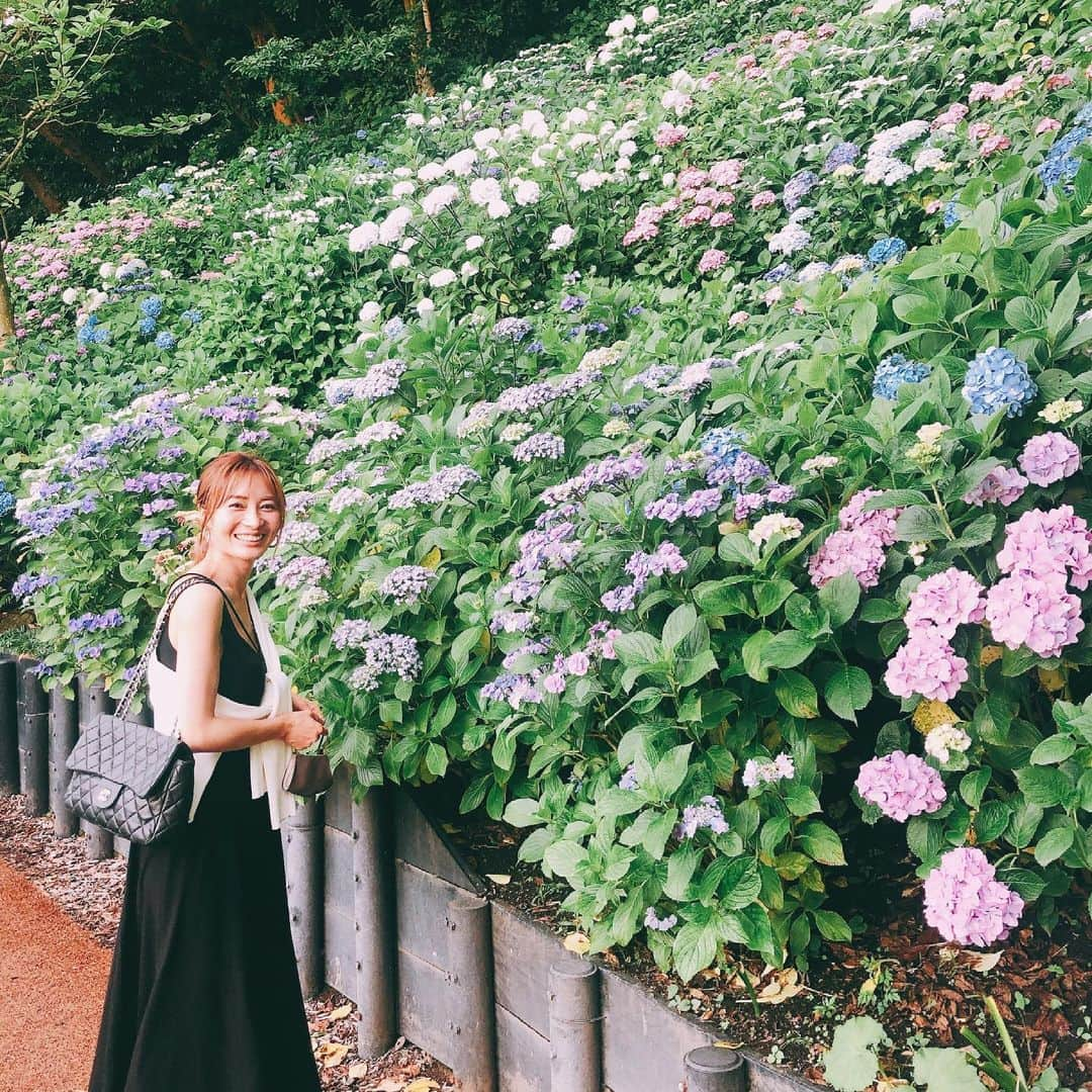 新山千春さんのインスタグラム写真 - (新山千春Instagram)「紫陽花きれいだったなぁ。  この季節ならではの 美しさ✨を堪能してきたよ  #新山千春 #オールドシャネル #vintage #紫陽花」6月9日 21時31分 - chiharuuu_0114